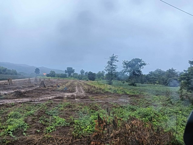 ประกาศฟรี! ซื้อ-ขาย-เช่า คอนโด บ้าน ทาวน์โฮม ที่ดิน และพื้นที่เชิงพาณิชย์ทั่วประเทศไทย ทุกทำเล ทุกงบประมาณ ไม่มีค่าใช้จ่าย ลงง่าย ขายไว เข้าถึงผู้ซื้อโดยตรง 4 506836pic3.jpg