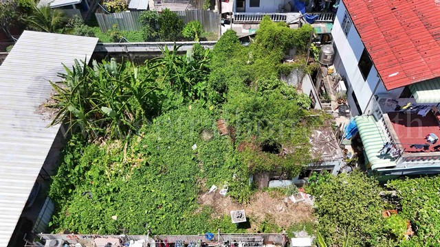 ประกาศฟรี! ซื้อ-ขาย-เช่า คอนโด บ้าน ทาวน์โฮม ที่ดิน และพื้นที่เชิงพาณิชย์ทั่วประเทศไทย ทุกทำเล ทุกงบประมาณ ไม่มีค่าใช้จ่าย ลงง่าย ขายไว เข้าถึงผู้ซื้อโดยตรง 2 199851pic1.jpg