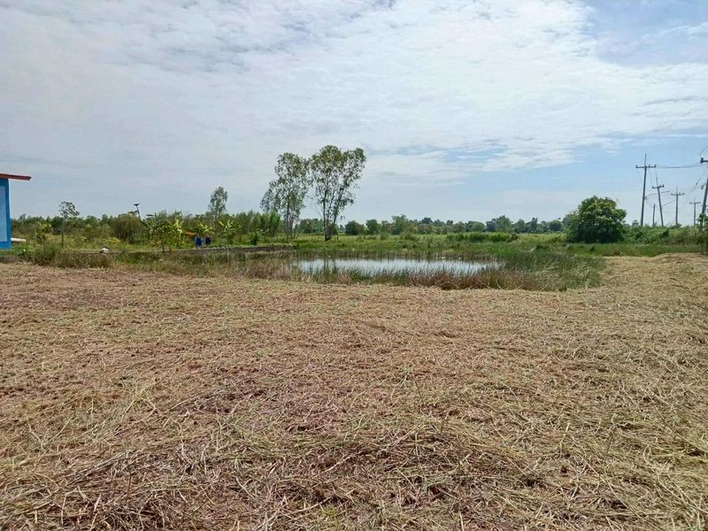 ประกาศฟรี! ซื้อ-ขาย-เช่า คอนโด บ้าน ทาวน์โฮม ที่ดิน และพื้นที่เชิงพาณิชย์ทั่วประเทศไทย ทุกทำเล ทุกงบประมาณ ไม่มีค่าใช้จ่าย ลงง่าย ขายไว เข้าถึงผู้ซื้อโดยตรง 3 506908pic2.jpg