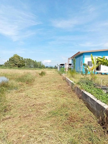 ประกาศฟรี! ซื้อ-ขาย-เช่า คอนโด บ้าน ทาวน์โฮม ที่ดิน และพื้นที่เชิงพาณิชย์ทั่วประเทศไทย ทุกทำเล ทุกงบประมาณ ไม่มีค่าใช้จ่าย ลงง่าย ขายไว เข้าถึงผู้ซื้อโดยตรง 5 506908pic4.jpg