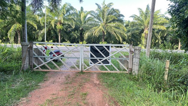 ประกาศฟรี! ซื้อ-ขาย-เช่า คอนโด บ้าน ทาวน์โฮม ที่ดิน และพื้นที่เชิงพาณิชย์ทั่วประเทศไทย ทุกทำเล ทุกงบประมาณ ไม่มีค่าใช้จ่าย ลงง่าย ขายไว เข้าถึงผู้ซื้อโดยตรง 2 294468pic1.jpg