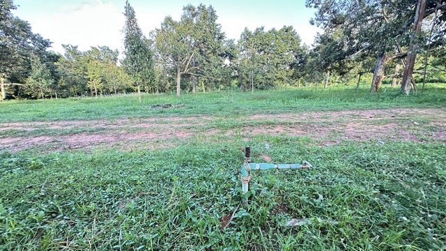 ประกาศฟรี! ซื้อ-ขาย-เช่า คอนโด บ้าน ทาวน์โฮม ที่ดิน และพื้นที่เชิงพาณิชย์ทั่วประเทศไทย ทุกทำเล ทุกงบประมาณ ไม่มีค่าใช้จ่าย ลงง่าย ขายไว เข้าถึงผู้ซื้อโดยตรง 4 294468pic3.jpg