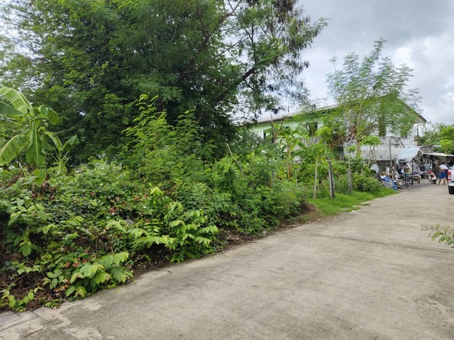 ประกาศฟรี! ซื้อ-ขาย-เช่า คอนโด บ้าน ทาวน์โฮม ที่ดิน และพื้นที่เชิงพาณิชย์ทั่วประเทศไทย ทุกทำเล ทุกงบประมาณ ไม่มีค่าใช้จ่าย ลงง่าย ขายไว เข้าถึงผู้ซื้อโดยตรง 3 164641pic2.jpg