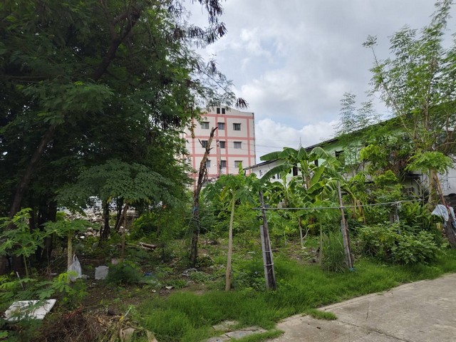 ประกาศฟรี! ซื้อ-ขาย-เช่า คอนโด บ้าน ทาวน์โฮม ที่ดิน และพื้นที่เชิงพาณิชย์ทั่วประเทศไทย ทุกทำเล ทุกงบประมาณ ไม่มีค่าใช้จ่าย ลงง่าย ขายไว เข้าถึงผู้ซื้อโดยตรง 4 164641pic3.jpg