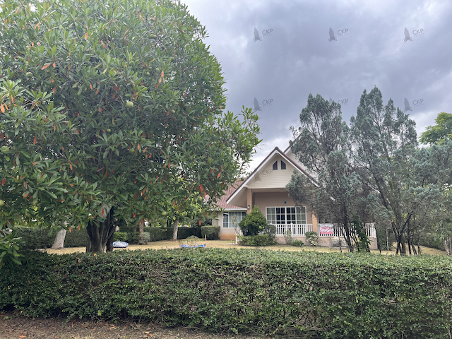 ประกาศฟรี! ซื้อ-ขาย-เช่า คอนโด บ้าน ทาวน์โฮม ที่ดิน และพื้นที่เชิงพาณิชย์ทั่วประเทศไทย ทุกทำเล ทุกงบประมาณ ไม่มีค่าใช้จ่าย ลงง่าย ขายไว เข้าถึงผู้ซื้อโดยตรง 4 267402pic3.jpg