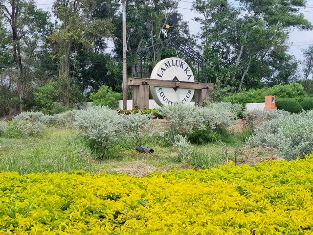 ประกาศฟรี! ซื้อ-ขาย-เช่า คอนโด บ้าน ทาวน์โฮม ที่ดิน และพื้นที่เชิงพาณิชย์ทั่วประเทศไทย ทุกทำเล ทุกงบประมาณ ไม่มีค่าใช้จ่าย ลงง่าย ขายไว เข้าถึงผู้ซื้อโดยตรง 2 240396pic1.jpg