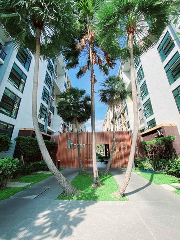 ประกาศฟรี! ซื้อ-ขาย-เช่า คอนโด บ้าน ทาวน์โฮม ที่ดิน และพื้นที่เชิงพาณิชย์ทั่วประเทศไทย ทุกทำเล ทุกงบประมาณ ไม่มีค่าใช้จ่าย ลงง่าย ขายไว เข้าถึงผู้ซื้อโดยตรง 2 310250pic1.jpg