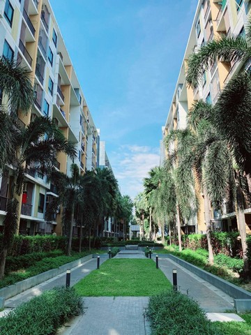 ประกาศฟรี! ซื้อ-ขาย-เช่า คอนโด บ้าน ทาวน์โฮม ที่ดิน และพื้นที่เชิงพาณิชย์ทั่วประเทศไทย ทุกทำเล ทุกงบประมาณ ไม่มีค่าใช้จ่าย ลงง่าย ขายไว เข้าถึงผู้ซื้อโดยตรง 3 310250pic2.jpg