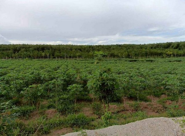 ประกาศฟรี! ซื้อ-ขาย-เช่า คอนโด บ้าน ทาวน์โฮม ที่ดิน และพื้นที่เชิงพาณิชย์ทั่วประเทศไทย ทุกทำเล ทุกงบประมาณ ไม่มีค่าใช้จ่าย ลงง่าย ขายไว เข้าถึงผู้ซื้อโดยตรง 3 309789pic2.jpg