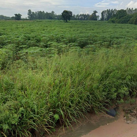 ประกาศฟรี! ซื้อ-ขาย-เช่า คอนโด บ้าน ทาวน์โฮม ที่ดิน และพื้นที่เชิงพาณิชย์ทั่วประเทศไทย ทุกทำเล ทุกงบประมาณ ไม่มีค่าใช้จ่าย ลงง่าย ขายไว เข้าถึงผู้ซื้อโดยตรง 5 310394pic4.jpg