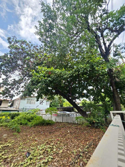 ประกาศฟรี! ซื้อ-ขาย-เช่า คอนโด บ้าน ทาวน์โฮม ที่ดิน และพื้นที่เชิงพาณิชย์ทั่วประเทศไทย ทุกทำเล ทุกงบประมาณ ไม่มีค่าใช้จ่าย ลงง่าย ขายไว เข้าถึงผู้ซื้อโดยตรง 2 241153pic1.jpg