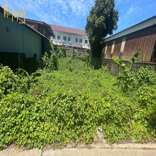 ประกาศฟรี! ซื้อ-ขาย-เช่า คอนโด บ้าน ทาวน์โฮม ที่ดิน และพื้นที่เชิงพาณิชย์ทั่วประเทศไทย ทุกทำเล ทุกงบประมาณ ไม่มีค่าใช้จ่าย ลงง่าย ขายไว เข้าถึงผู้ซื้อโดยตรง 4 86695pic3.jpg