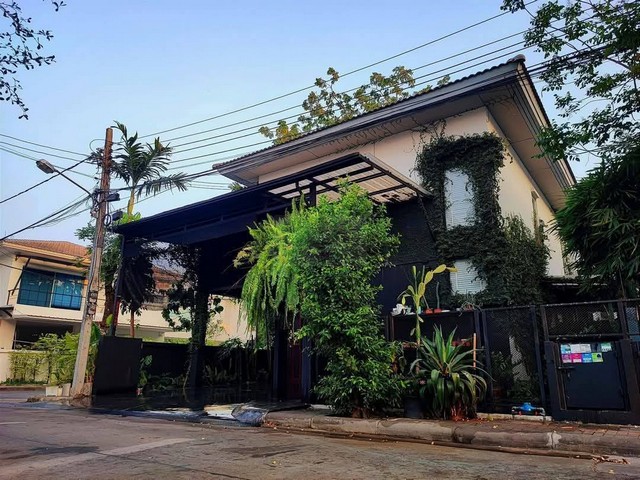 ประกาศฟรี! ซื้อ-ขาย-เช่า คอนโด บ้าน ทาวน์โฮม ที่ดิน และพื้นที่เชิงพาณิชย์ทั่วประเทศไทย ทุกทำเล ทุกงบประมาณ ไม่มีค่าใช้จ่าย ลงง่าย ขายไว เข้าถึงผู้ซื้อโดยตรง 3 507185pic2.jpg