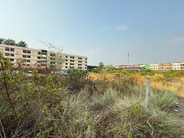 ประกาศฟรี! ซื้อ-ขาย-เช่า คอนโด บ้าน ทาวน์โฮม ที่ดิน และพื้นที่เชิงพาณิชย์ทั่วประเทศไทย ทุกทำเล ทุกงบประมาณ ไม่มีค่าใช้จ่าย ลงง่าย ขายไว เข้าถึงผู้ซื้อโดยตรง 3 310827pic2.jpg