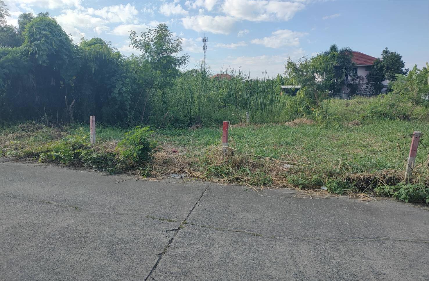 ประกาศฟรี! ซื้อ-ขาย-เช่า คอนโด บ้าน ทาวน์โฮม ที่ดิน และพื้นที่เชิงพาณิชย์ทั่วประเทศไทย ทุกทำเล ทุกงบประมาณ ไม่มีค่าใช้จ่าย ลงง่าย ขายไว เข้าถึงผู้ซื้อโดยตรง 2 292976pic1.jpg