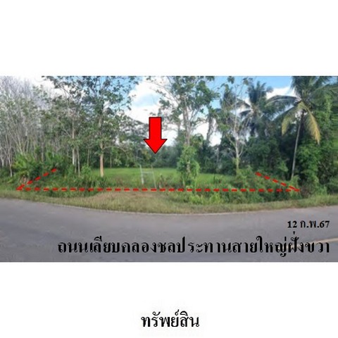 ประกาศฟรี! ซื้อ-ขาย-เช่า คอนโด บ้าน ทาวน์โฮม ที่ดิน และพื้นที่เชิงพาณิชย์ทั่วประเทศไทย ทุกทำเล ทุกงบประมาณ ไม่มีค่าใช้จ่าย ลงง่าย ขายไว เข้าถึงผู้ซื้อโดยตรง 2 228253pic1.jpg