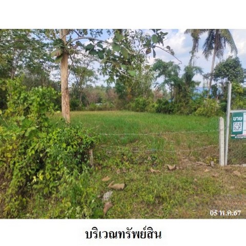 ประกาศฟรี! ซื้อ-ขาย-เช่า คอนโด บ้าน ทาวน์โฮม ที่ดิน และพื้นที่เชิงพาณิชย์ทั่วประเทศไทย ทุกทำเล ทุกงบประมาณ ไม่มีค่าใช้จ่าย ลงง่าย ขายไว เข้าถึงผู้ซื้อโดยตรง 3 228253pic2.jpg