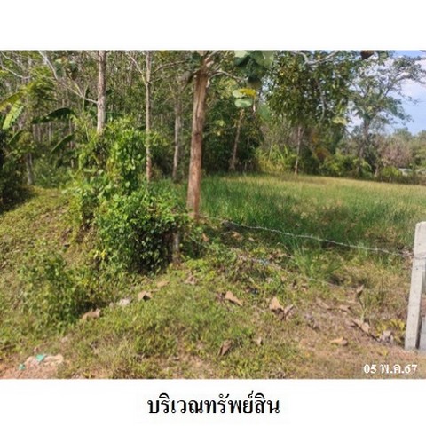 ประกาศฟรี! ซื้อ-ขาย-เช่า คอนโด บ้าน ทาวน์โฮม ที่ดิน และพื้นที่เชิงพาณิชย์ทั่วประเทศไทย ทุกทำเล ทุกงบประมาณ ไม่มีค่าใช้จ่าย ลงง่าย ขายไว เข้าถึงผู้ซื้อโดยตรง 4 228253pic3.jpg