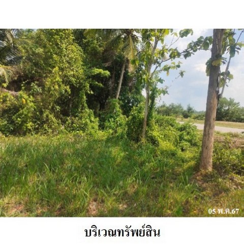 ประกาศฟรี! ซื้อ-ขาย-เช่า คอนโด บ้าน ทาวน์โฮม ที่ดิน และพื้นที่เชิงพาณิชย์ทั่วประเทศไทย ทุกทำเล ทุกงบประมาณ ไม่มีค่าใช้จ่าย ลงง่าย ขายไว เข้าถึงผู้ซื้อโดยตรง 5 228253pic4.jpg