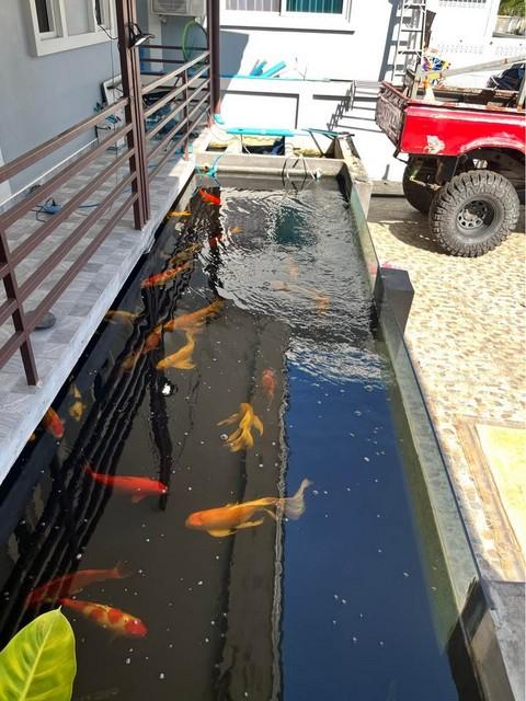 ประกาศฟรี! ซื้อ-ขาย-เช่า คอนโด บ้าน ทาวน์โฮม ที่ดิน และพื้นที่เชิงพาณิชย์ทั่วประเทศไทย ทุกทำเล ทุกงบประมาณ ไม่มีค่าใช้จ่าย ลงง่าย ขายไว เข้าถึงผู้ซื้อโดยตรง 5 507254pic4.jpg