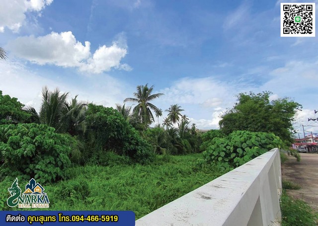 ประกาศฟรี! ซื้อ-ขาย-เช่า คอนโด บ้าน ทาวน์โฮม ที่ดิน และพื้นที่เชิงพาณิชย์ทั่วประเทศไทย ทุกทำเล ทุกงบประมาณ ไม่มีค่าใช้จ่าย ลงง่าย ขายไว เข้าถึงผู้ซื้อโดยตรง 5 311309pic4.jpg