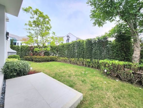 ประกาศฟรี! ซื้อ-ขาย-เช่า คอนโด บ้าน ทาวน์โฮม ที่ดิน และพื้นที่เชิงพาณิชย์ทั่วประเทศไทย ทุกทำเล ทุกงบประมาณ ไม่มีค่าใช้จ่าย ลงง่าย ขายไว เข้าถึงผู้ซื้อโดยตรง 3 242595pic2.jpg