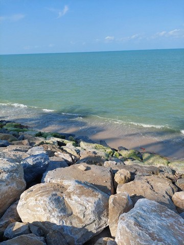 ประกาศฟรี! ซื้อ-ขาย-เช่า คอนโด บ้าน ทาวน์โฮม ที่ดิน และพื้นที่เชิงพาณิชย์ทั่วประเทศไทย ทุกทำเล ทุกงบประมาณ ไม่มีค่าใช้จ่าย ลงง่าย ขายไว เข้าถึงผู้ซื้อโดยตรง 4 11050pic3.jpg