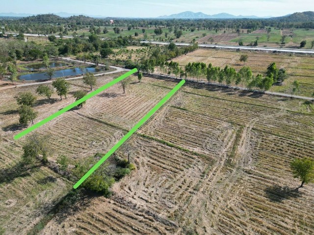 ประกาศฟรี! ซื้อ-ขาย-เช่า คอนโด บ้าน ทาวน์โฮม ที่ดิน และพื้นที่เชิงพาณิชย์ทั่วประเทศไทย ทุกทำเล ทุกงบประมาณ ไม่มีค่าใช้จ่าย ลงง่าย ขายไว เข้าถึงผู้ซื้อโดยตรง 3 293080pic2.jpg