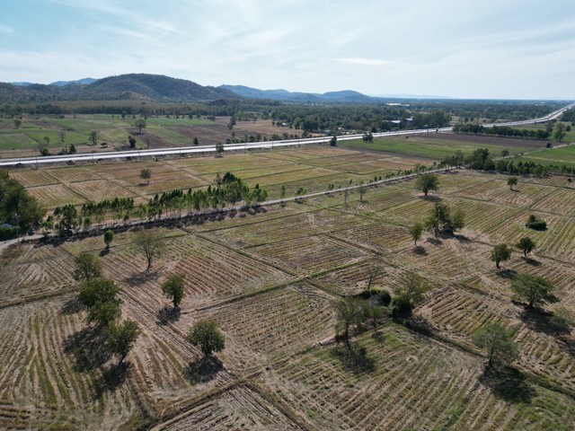 ประกาศฟรี! ซื้อ-ขาย-เช่า คอนโด บ้าน ทาวน์โฮม ที่ดิน และพื้นที่เชิงพาณิชย์ทั่วประเทศไทย ทุกทำเล ทุกงบประมาณ ไม่มีค่าใช้จ่าย ลงง่าย ขายไว เข้าถึงผู้ซื้อโดยตรง 4 293080pic3.jpg