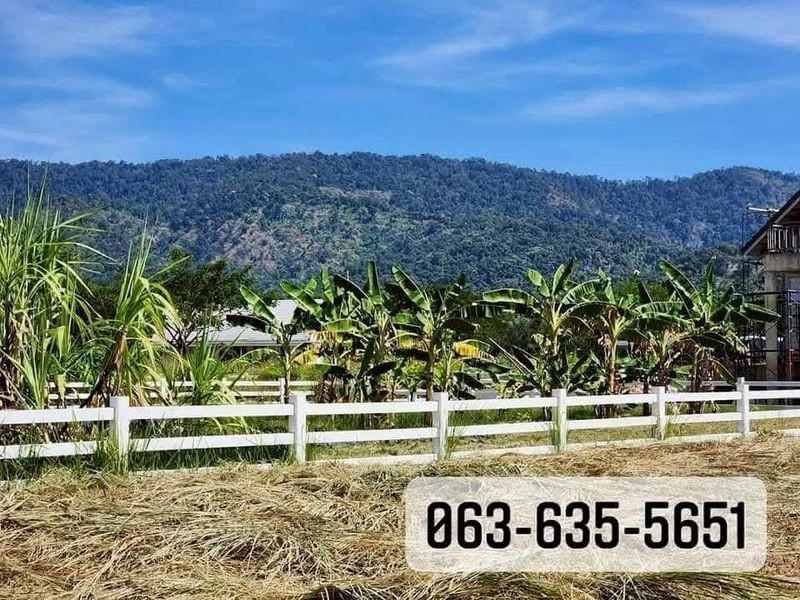 ประกาศฟรี! ซื้อ-ขาย-เช่า คอนโด บ้าน ทาวน์โฮม ที่ดิน และพื้นที่เชิงพาณิชย์ทั่วประเทศไทย ทุกทำเล ทุกงบประมาณ ไม่มีค่าใช้จ่าย ลงง่าย ขายไว เข้าถึงผู้ซื้อโดยตรง 2 508265pic1.jpg