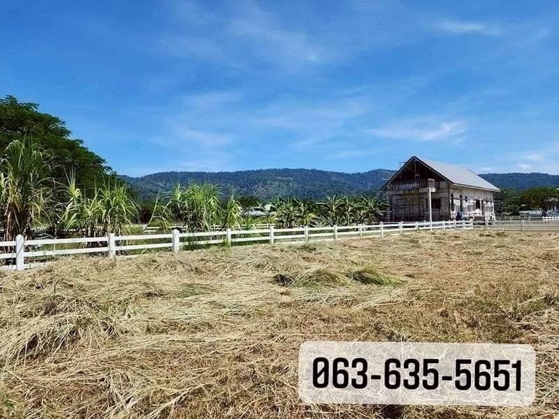 ประกาศฟรี! ซื้อ-ขาย-เช่า คอนโด บ้าน ทาวน์โฮม ที่ดิน และพื้นที่เชิงพาณิชย์ทั่วประเทศไทย ทุกทำเล ทุกงบประมาณ ไม่มีค่าใช้จ่าย ลงง่าย ขายไว เข้าถึงผู้ซื้อโดยตรง 5 508265pic4.jpg