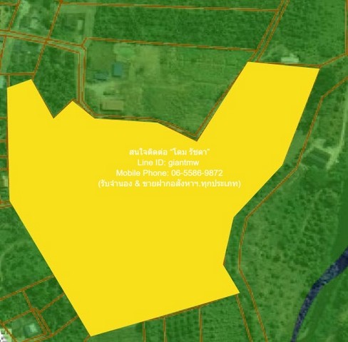 ประกาศฟรี! ซื้อ-ขาย-เช่า คอนโด บ้าน ทาวน์โฮม ที่ดิน และพื้นที่เชิงพาณิชย์ทั่วประเทศไทย ทุกทำเล ทุกงบประมาณ ไม่มีค่าใช้จ่าย ลงง่าย ขายไว เข้าถึงผู้ซื้อโดยตรง 2 291807pic1.jpg