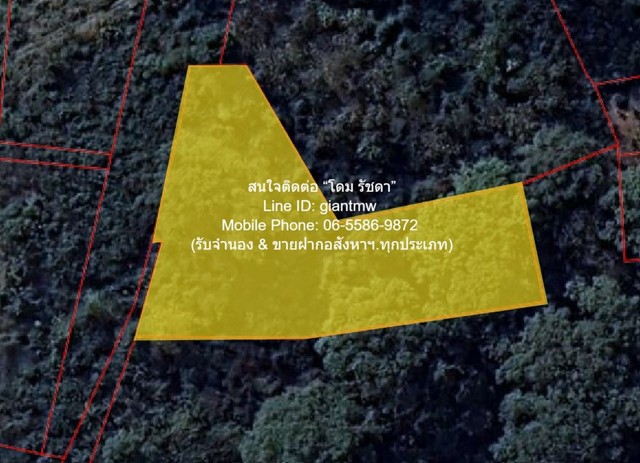 ประกาศฟรี! ซื้อ-ขาย-เช่า คอนโด บ้าน ทาวน์โฮม ที่ดิน และพื้นที่เชิงพาณิชย์ทั่วประเทศไทย ทุกทำเล ทุกงบประมาณ ไม่มีค่าใช้จ่าย ลงง่าย ขายไว เข้าถึงผู้ซื้อโดยตรง 2 291804pic1.jpg