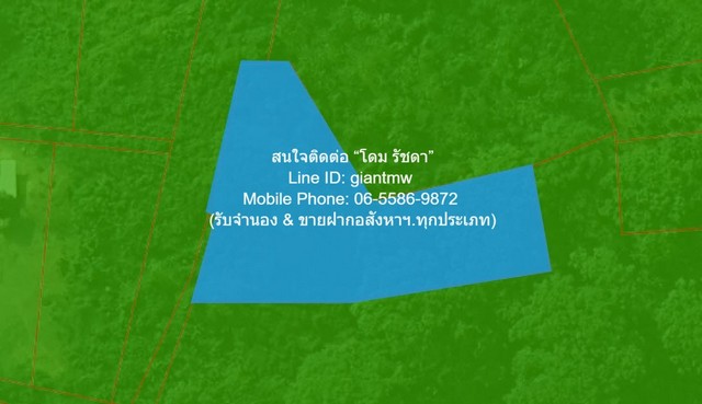 ประกาศฟรี! ซื้อ-ขาย-เช่า คอนโด บ้าน ทาวน์โฮม ที่ดิน และพื้นที่เชิงพาณิชย์ทั่วประเทศไทย ทุกทำเล ทุกงบประมาณ ไม่มีค่าใช้จ่าย ลงง่าย ขายไว เข้าถึงผู้ซื้อโดยตรง 3 291804pic2.jpg