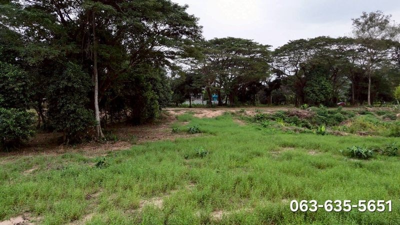 ประกาศฟรี! ซื้อ-ขาย-เช่า คอนโด บ้าน ทาวน์โฮม ที่ดิน และพื้นที่เชิงพาณิชย์ทั่วประเทศไทย ทุกทำเล ทุกงบประมาณ ไม่มีค่าใช้จ่าย ลงง่าย ขายไว เข้าถึงผู้ซื้อโดยตรง 4 508261pic3.jpg