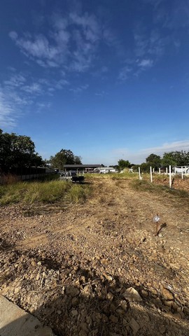 ประกาศฟรี! ซื้อ-ขาย-เช่า คอนโด บ้าน ทาวน์โฮม ที่ดิน และพื้นที่เชิงพาณิชย์ทั่วประเทศไทย ทุกทำเล ทุกงบประมาณ ไม่มีค่าใช้จ่าย ลงง่าย ขายไว เข้าถึงผู้ซื้อโดยตรง 4 312147pic3.jpg