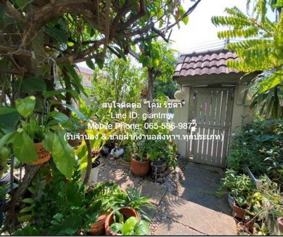 ประกาศฟรี! ซื้อ-ขาย-เช่า คอนโด บ้าน ทาวน์โฮม ที่ดิน และพื้นที่เชิงพาณิชย์ทั่วประเทศไทย ทุกทำเล ทุกงบประมาณ ไม่มีค่าใช้จ่าย ลงง่าย ขายไว เข้าถึงผู้ซื้อโดยตรง 4 19496pic3.jpg