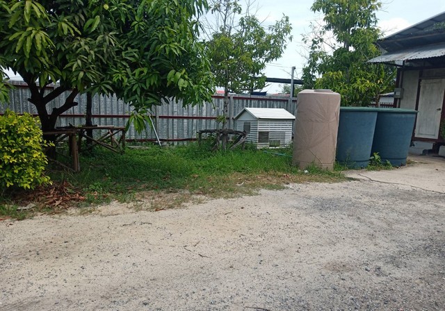 ประกาศฟรี! ซื้อ-ขาย-เช่า คอนโด บ้าน ทาวน์โฮม ที่ดิน และพื้นที่เชิงพาณิชย์ทั่วประเทศไทย ทุกทำเล ทุกงบประมาณ ไม่มีค่าใช้จ่าย ลงง่าย ขายไว เข้าถึงผู้ซื้อโดยตรง 4 8372pic3.jpg