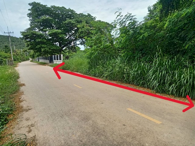 ประกาศฟรี! ซื้อ-ขาย-เช่า คอนโด บ้าน ทาวน์โฮม ที่ดิน และพื้นที่เชิงพาณิชย์ทั่วประเทศไทย ทุกทำเล ทุกงบประมาณ ไม่มีค่าใช้จ่าย ลงง่าย ขายไว เข้าถึงผู้ซื้อโดยตรง 2 293269pic1.jpg