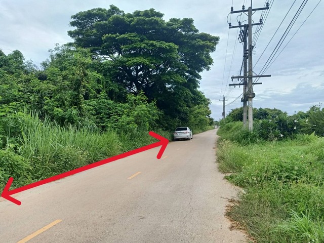 ประกาศฟรี! ซื้อ-ขาย-เช่า คอนโด บ้าน ทาวน์โฮม ที่ดิน และพื้นที่เชิงพาณิชย์ทั่วประเทศไทย ทุกทำเล ทุกงบประมาณ ไม่มีค่าใช้จ่าย ลงง่าย ขายไว เข้าถึงผู้ซื้อโดยตรง 3 293269pic2.jpg