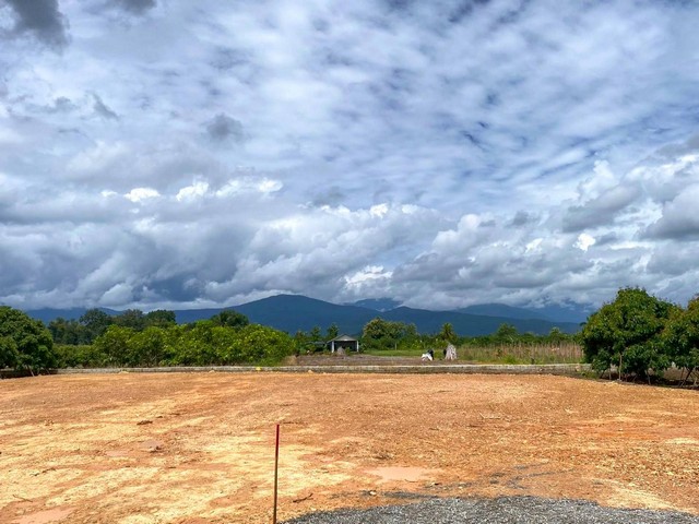 ประกาศฟรี! ซื้อ-ขาย-เช่า คอนโด บ้าน ทาวน์โฮม ที่ดิน และพื้นที่เชิงพาณิชย์ทั่วประเทศไทย ทุกทำเล ทุกงบประมาณ ไม่มีค่าใช้จ่าย ลงง่าย ขายไว เข้าถึงผู้ซื้อโดยตรง 5 293280pic4.jpg