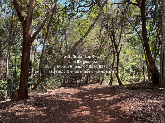 ประกาศฟรี! ซื้อ-ขาย-เช่า คอนโด บ้าน ทาวน์โฮม ที่ดิน และพื้นที่เชิงพาณิชย์ทั่วประเทศไทย ทุกทำเล ทุกงบประมาณ ไม่มีค่าใช้จ่าย ลงง่าย ขายไว เข้าถึงผู้ซื้อโดยตรง 3 287572pic2.jpg