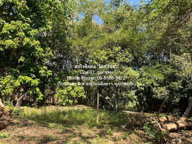 ประกาศฟรี! ซื้อ-ขาย-เช่า คอนโด บ้าน ทาวน์โฮม ที่ดิน และพื้นที่เชิงพาณิชย์ทั่วประเทศไทย ทุกทำเล ทุกงบประมาณ ไม่มีค่าใช้จ่าย ลงง่าย ขายไว เข้าถึงผู้ซื้อโดยตรง 4 287572pic3.jpg