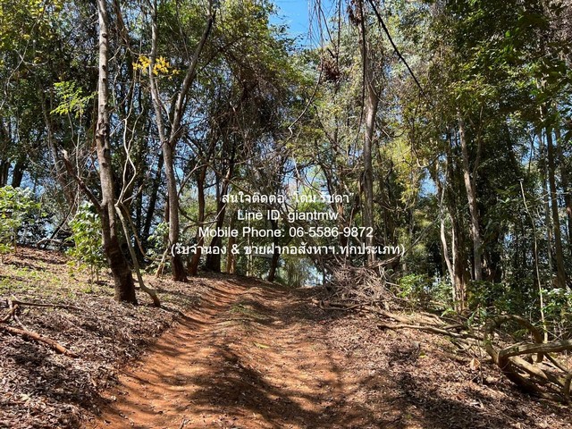 ประกาศฟรี! ซื้อ-ขาย-เช่า คอนโด บ้าน ทาวน์โฮม ที่ดิน และพื้นที่เชิงพาณิชย์ทั่วประเทศไทย ทุกทำเล ทุกงบประมาณ ไม่มีค่าใช้จ่าย ลงง่าย ขายไว เข้าถึงผู้ซื้อโดยตรง 5 287572pic4.jpg