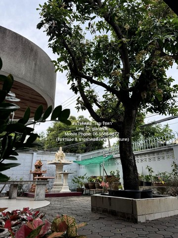 ประกาศฟรี! ซื้อ-ขาย-เช่า คอนโด บ้าน ทาวน์โฮม ที่ดิน และพื้นที่เชิงพาณิชย์ทั่วประเทศไทย ทุกทำเล ทุกงบประมาณ ไม่มีค่าใช้จ่าย ลงง่าย ขายไว เข้าถึงผู้ซื้อโดยตรง 4 287537pic3.jpg