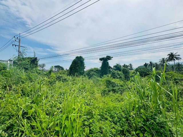 ประกาศฟรี! ซื้อ-ขาย-เช่า คอนโด บ้าน ทาวน์โฮม ที่ดิน และพื้นที่เชิงพาณิชย์ทั่วประเทศไทย ทุกทำเล ทุกงบประมาณ ไม่มีค่าใช้จ่าย ลงง่าย ขายไว เข้าถึงผู้ซื้อโดยตรง 5 312288pic4.jpg