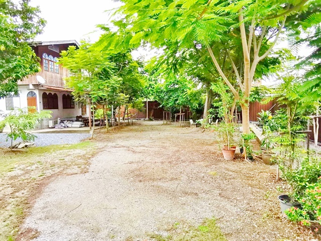 ประกาศฟรี! ซื้อ-ขาย-เช่า คอนโด บ้าน ทาวน์โฮม ที่ดิน และพื้นที่เชิงพาณิชย์ทั่วประเทศไทย ทุกทำเล ทุกงบประมาณ ไม่มีค่าใช้จ่าย ลงง่าย ขายไว เข้าถึงผู้ซื้อโดยตรง 4 245313pic3.jpg