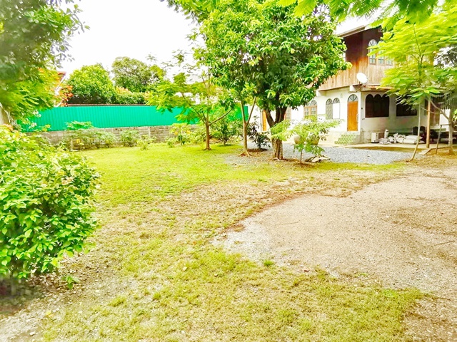 ประกาศฟรี! ซื้อ-ขาย-เช่า คอนโด บ้าน ทาวน์โฮม ที่ดิน และพื้นที่เชิงพาณิชย์ทั่วประเทศไทย ทุกทำเล ทุกงบประมาณ ไม่มีค่าใช้จ่าย ลงง่าย ขายไว เข้าถึงผู้ซื้อโดยตรง 5 245313pic4.jpg