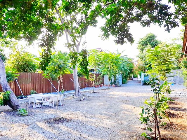 ประกาศฟรี! ซื้อ-ขาย-เช่า คอนโด บ้าน ทาวน์โฮม ที่ดิน และพื้นที่เชิงพาณิชย์ทั่วประเทศไทย ทุกทำเล ทุกงบประมาณ ไม่มีค่าใช้จ่าย ลงง่าย ขายไว เข้าถึงผู้ซื้อโดยตรง 5 245312pic4.jpg