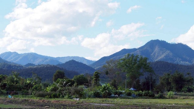 ประกาศฟรี! ซื้อ-ขาย-เช่า คอนโด บ้าน ทาวน์โฮม ที่ดิน และพื้นที่เชิงพาณิชย์ทั่วประเทศไทย ทุกทำเล ทุกงบประมาณ ไม่มีค่าใช้จ่าย ลงง่าย ขายไว เข้าถึงผู้ซื้อโดยตรง 5 293289pic4.jpg